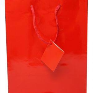 Rheita Geschenktüte mittel, 4 verschiedene Farben, 228 x 176 x 100 mm